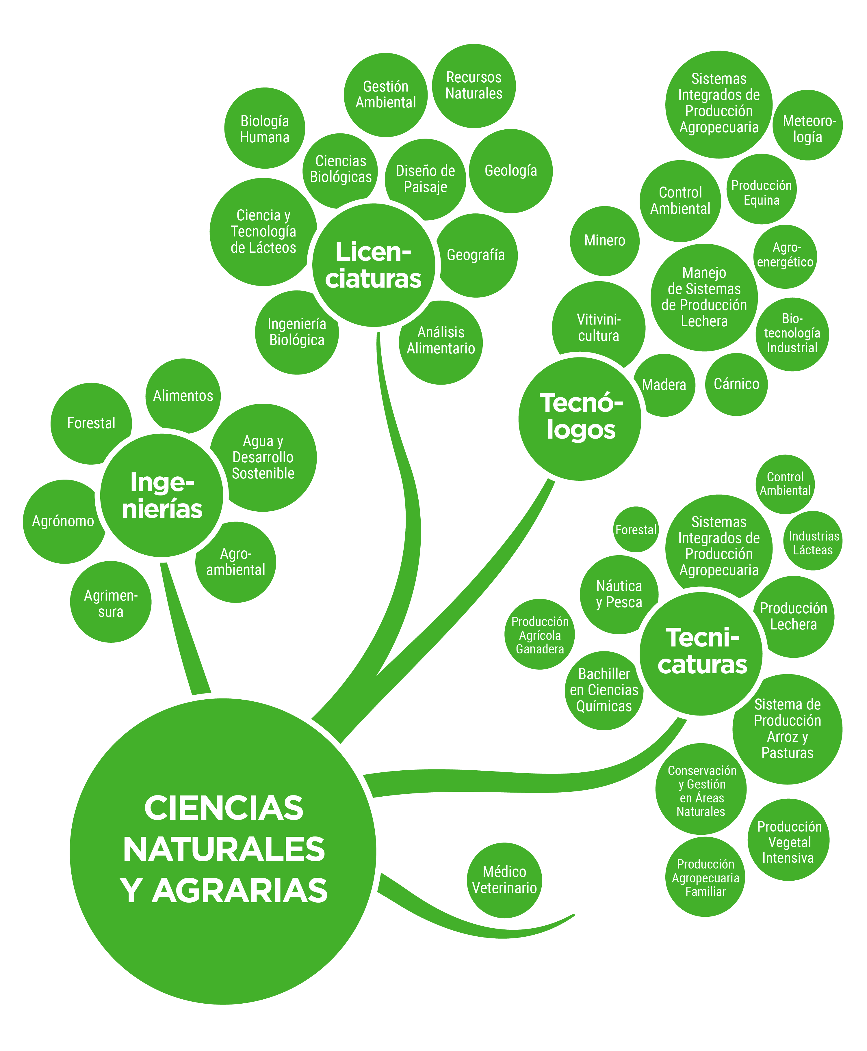 Ciencias Naturales y Agrarias